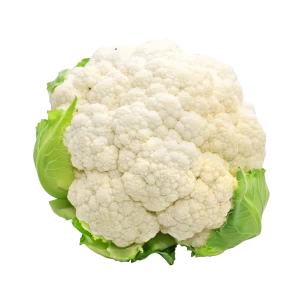 Κουνουπίδι