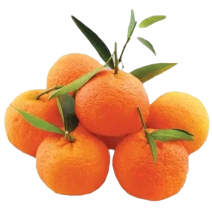 Μανταρίνια