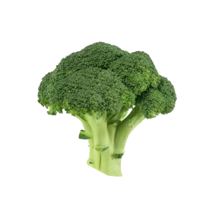 Μπρόκολο